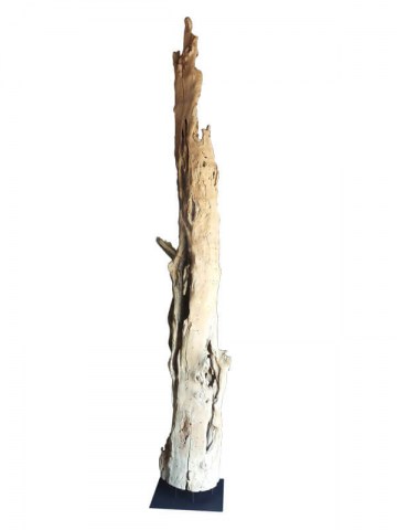Verwitterter_Baumstamm _350cmA_Unikat